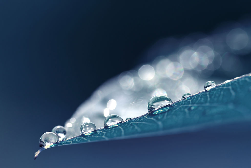 Proverbs 1:5-9 - "The Words of the Wise"