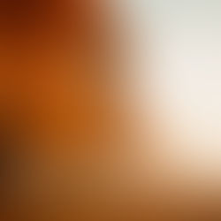 October 21, 2025 - Joshua 6:16 - "Salvation Typified"