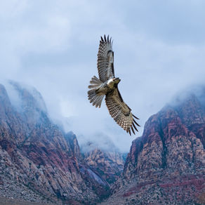 Lamentations 3:52-66 - "Out of the Depths"