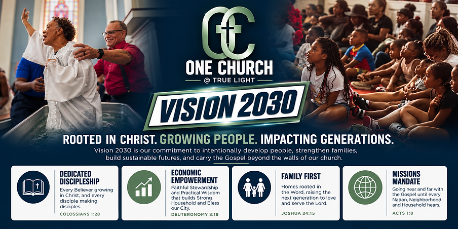 Vision 2030_ Rooted, Growing, Impacting.png