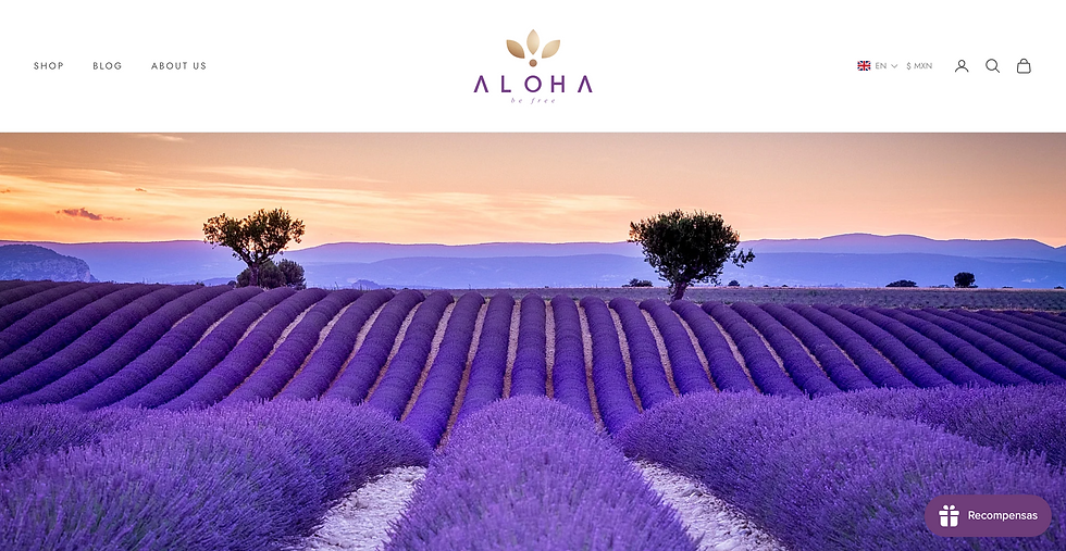 Captura de pantalla del 30/09/2025 a las 20:25.44.png