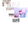 Collage_3.png