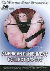 American Punishment Collections 14 .jpg