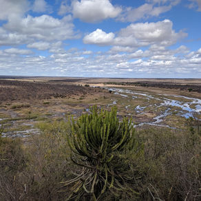 Afrique du Sud : Nord-Est