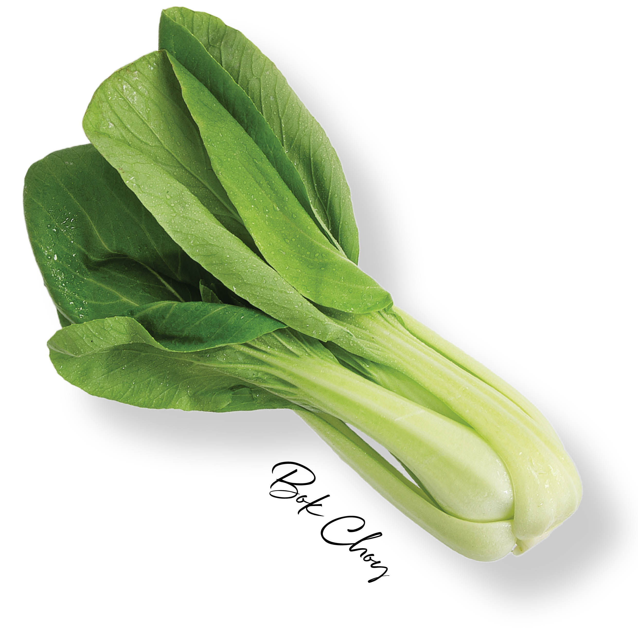 BOK CHOY – BUNCH