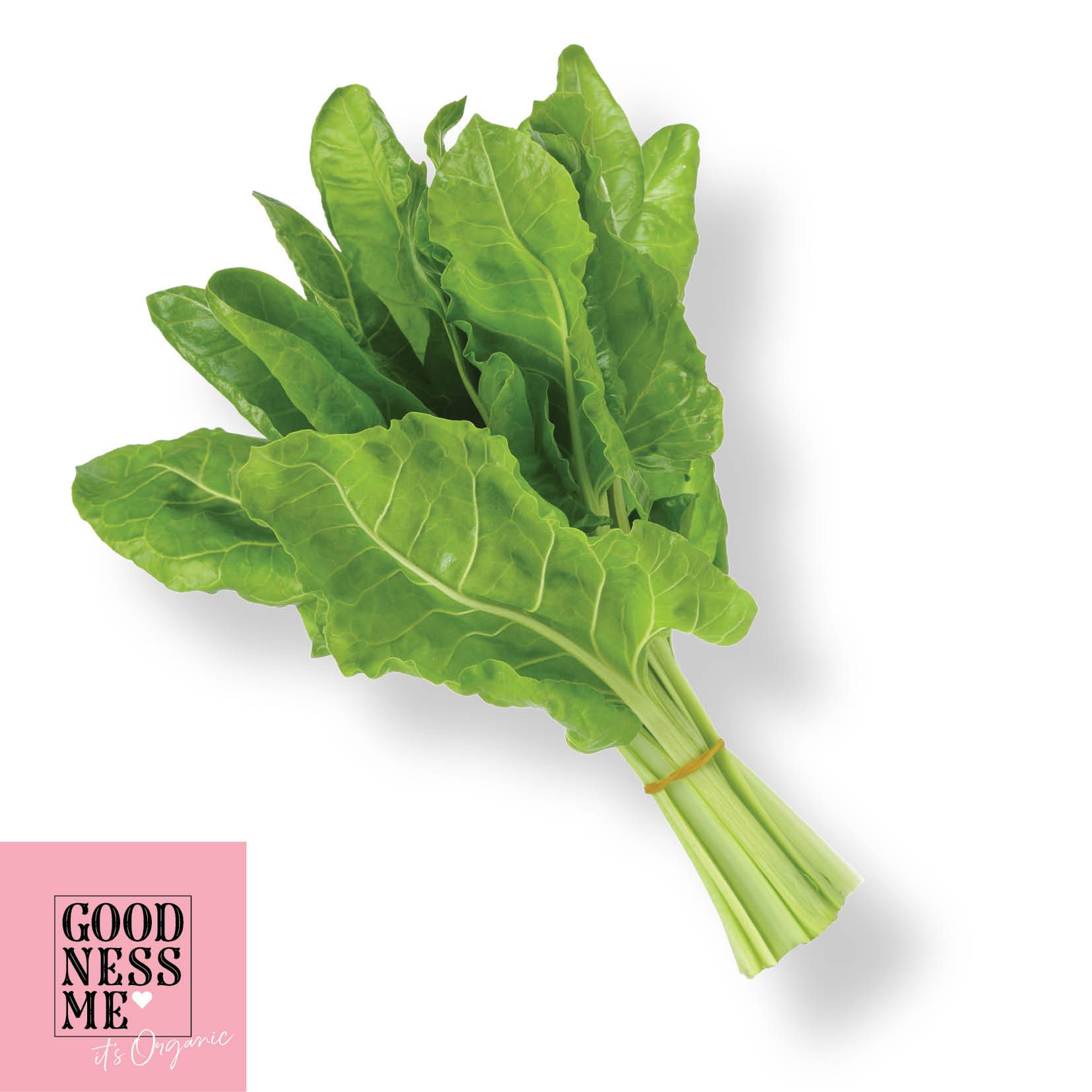 ORGANIC SPINACH - BUNCH