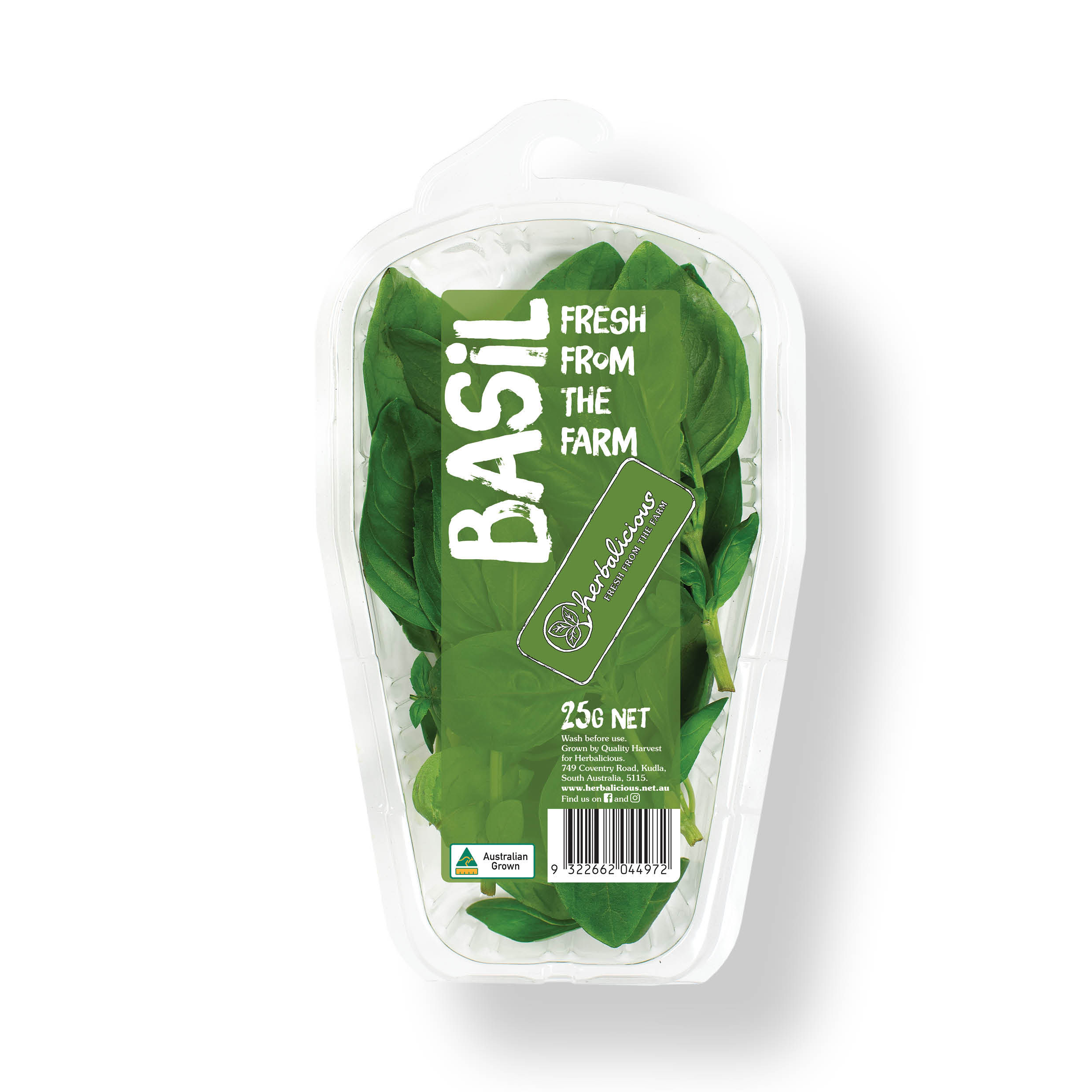 HERBALICIOUS BASIL – 25G