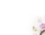 mt-1857-content-bg02_edited.jpg