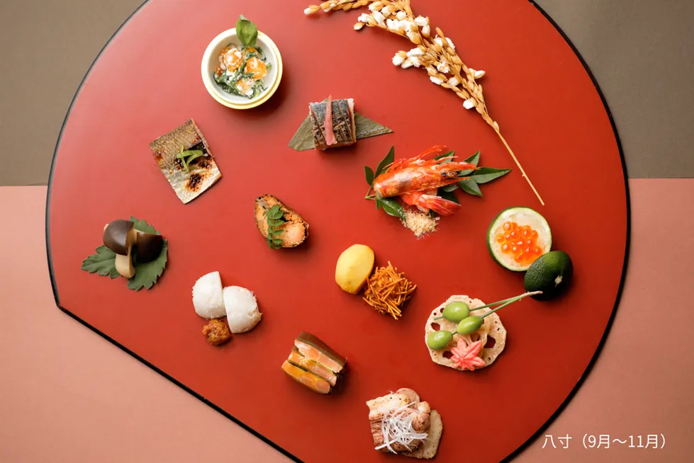 hasun9-11.webp