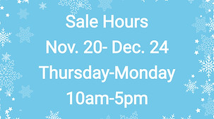 winter website lightbox_edited.jpg