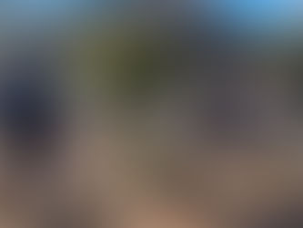 Los restos de al menos 56 personas son localizados en fosas clandestinas de Chihuahua