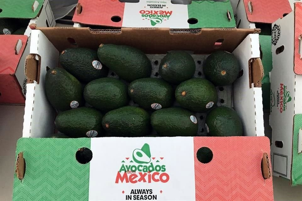 Gobierno de EU reanuda inspección de producción de aguacate en Michoacán