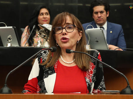 Yeidckol Polevnsky pide licencia previo a votación del Plan B en el Senado