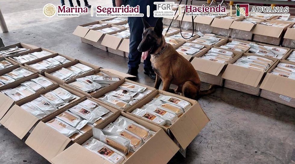 El cargamento de café realizaba un tránsito internacional y fue identificado mediante ejemplares caninos, durante su paso en el AICM.