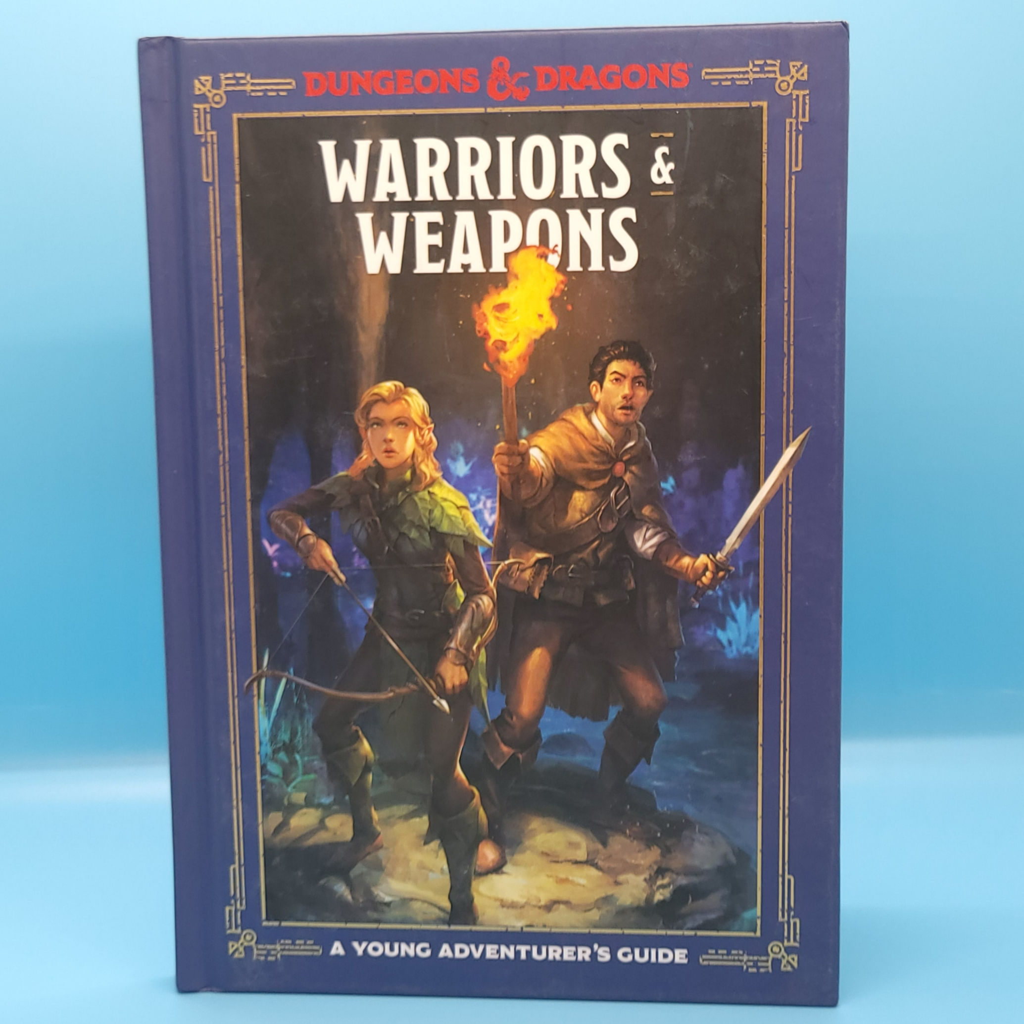 Dungeons & Dragons Warriors & Weapons Hard back Book