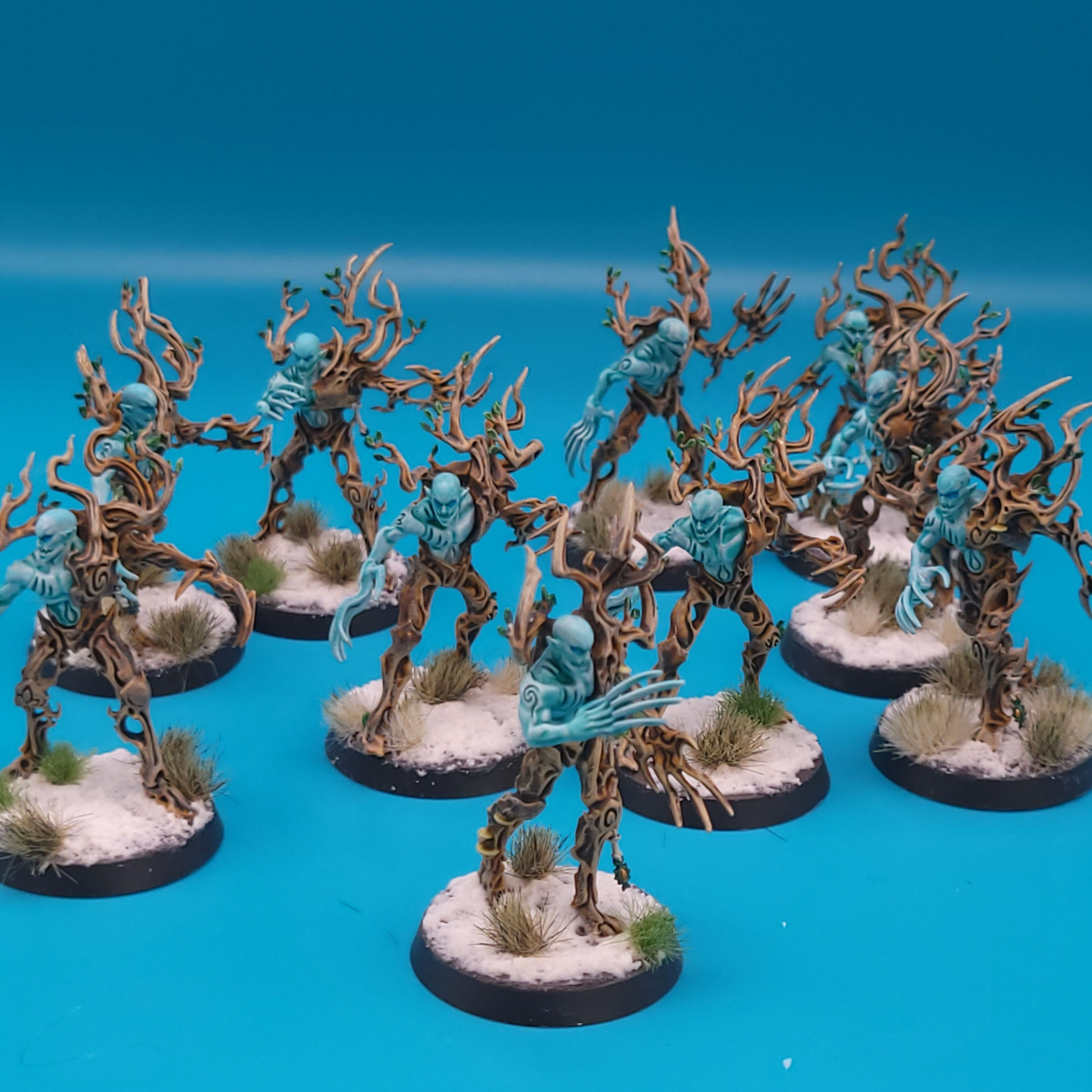 AOS Sylvaneth Spite Revenants