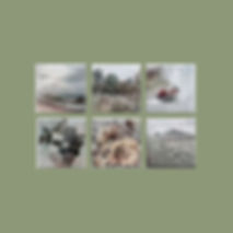 6 PK (6x6 cm)