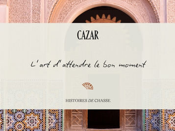 Achat immobilier riad à Marrakech, histoire d'une chasse sur mesure menée par Cazar