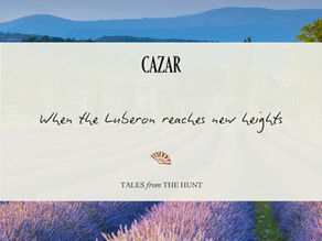 Tales from the hunt #8 - Provence