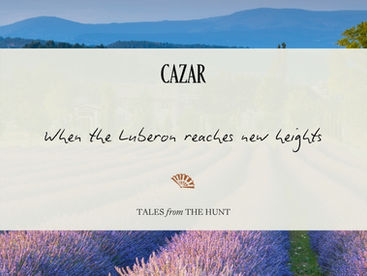 Tales from the hunt #8 - Provence