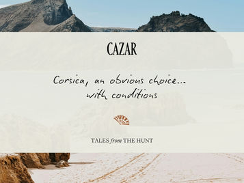 Tales from the hunt #1