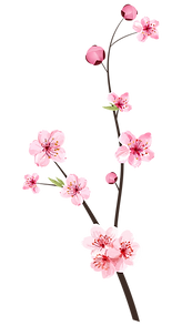 fleurs