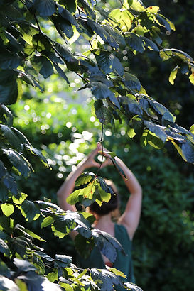 +IMG_8729.JPG