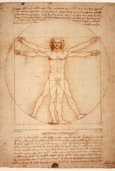 leonardo-da-vinci-1125056_960_720.jpg