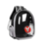 Signature FrenchieBling TM Pet Carrier Backpack