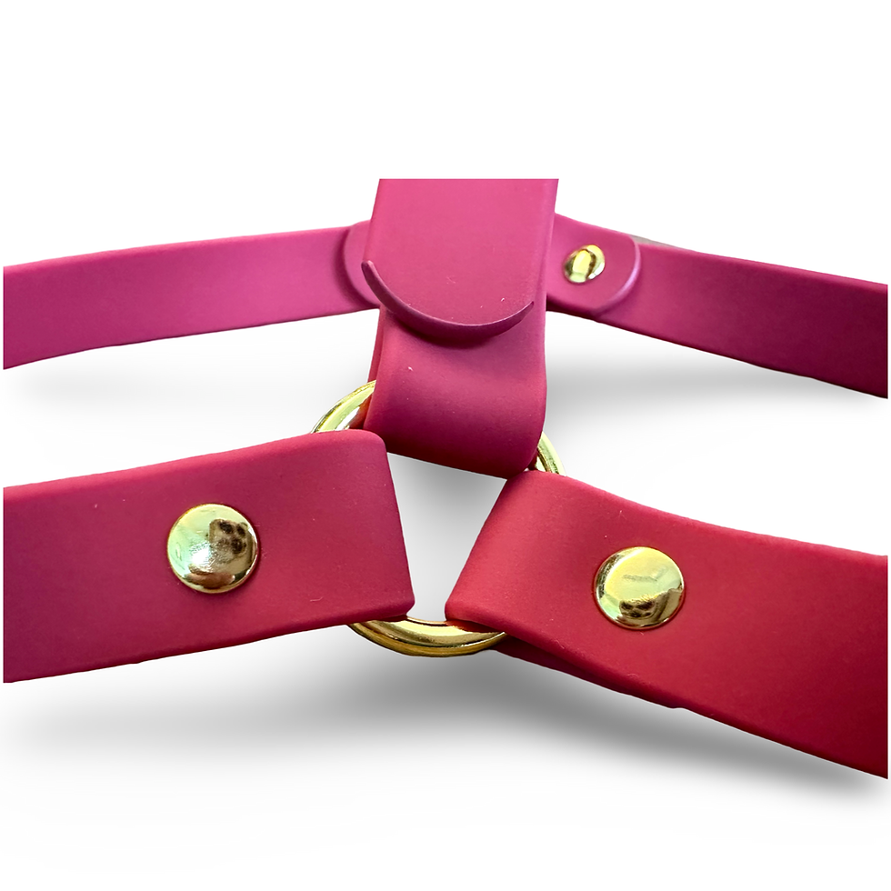 Thumbnail: FrenchieBlingTM All Weather Silicone Harness