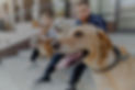 Buy Dogs Collars and Leashes in Atlanta, GA