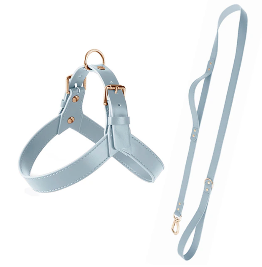 Thumbnail: Dog Leather Harness and Leash