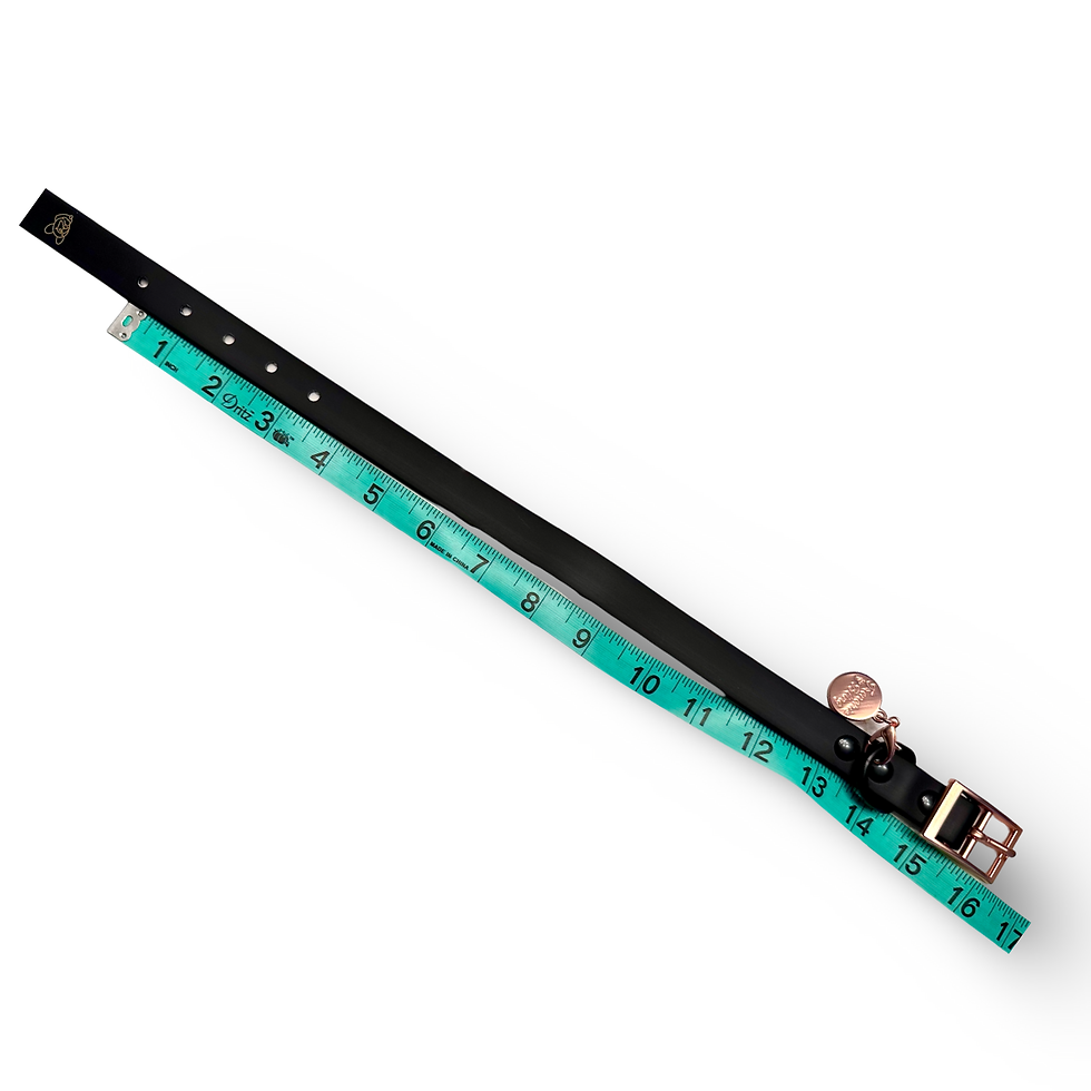 Thumbnail: FrenchieBlingTM All Weather Black & Rosegold Soft Silicone Collar & Leash