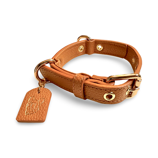 Luxury Leather Dog Collar Cognac