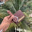 Thumbnail: Men Wallet + Wrist Watch combo