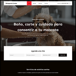 Demo de sitio web para estética, salón o spa en Cancún
