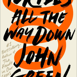 Turtles All The Way Down - an unhinged review