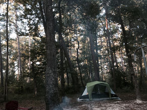 the camping trip.