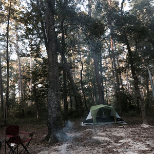 the camping trip.