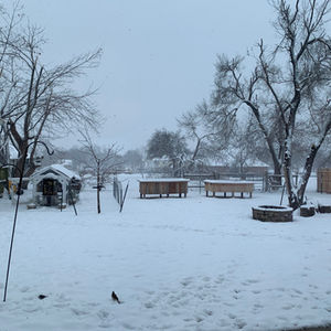 december 2020 playlist