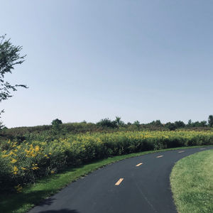 august 2020 playlist