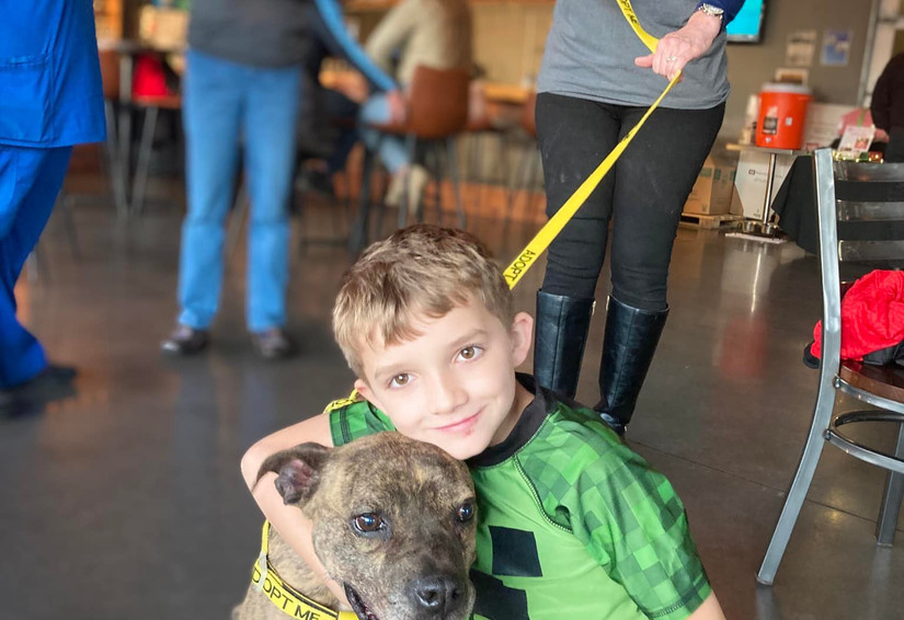 Events Friends of Guilford County Animal Shelter