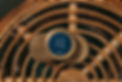 DLP_9368.jpg