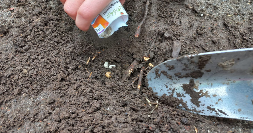 2023-03-20 Blitzlank 05.jpg