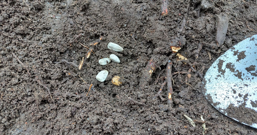 2023-03-20 Blitzlank 06.jpg