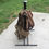 Thumbnail: Warrior Rack