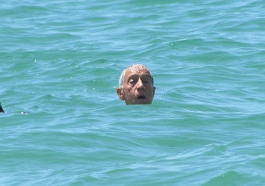 Candidatura à "presenilência"