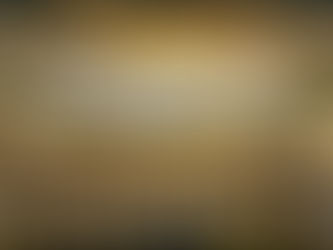 GOBIERNO Y CONQUISTA2025