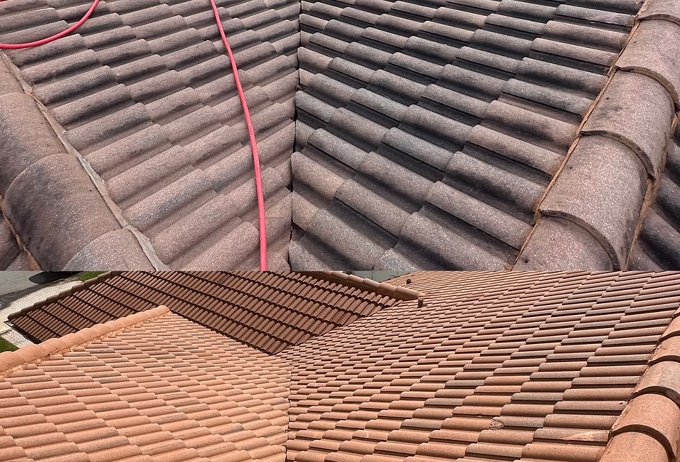 Untitled design (17).png
