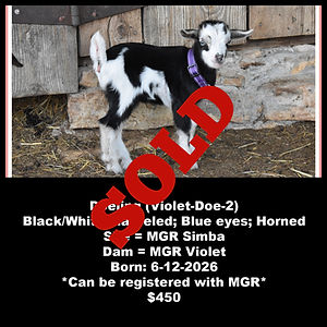 Collage Violet-Doe-2-SOLD.jpg